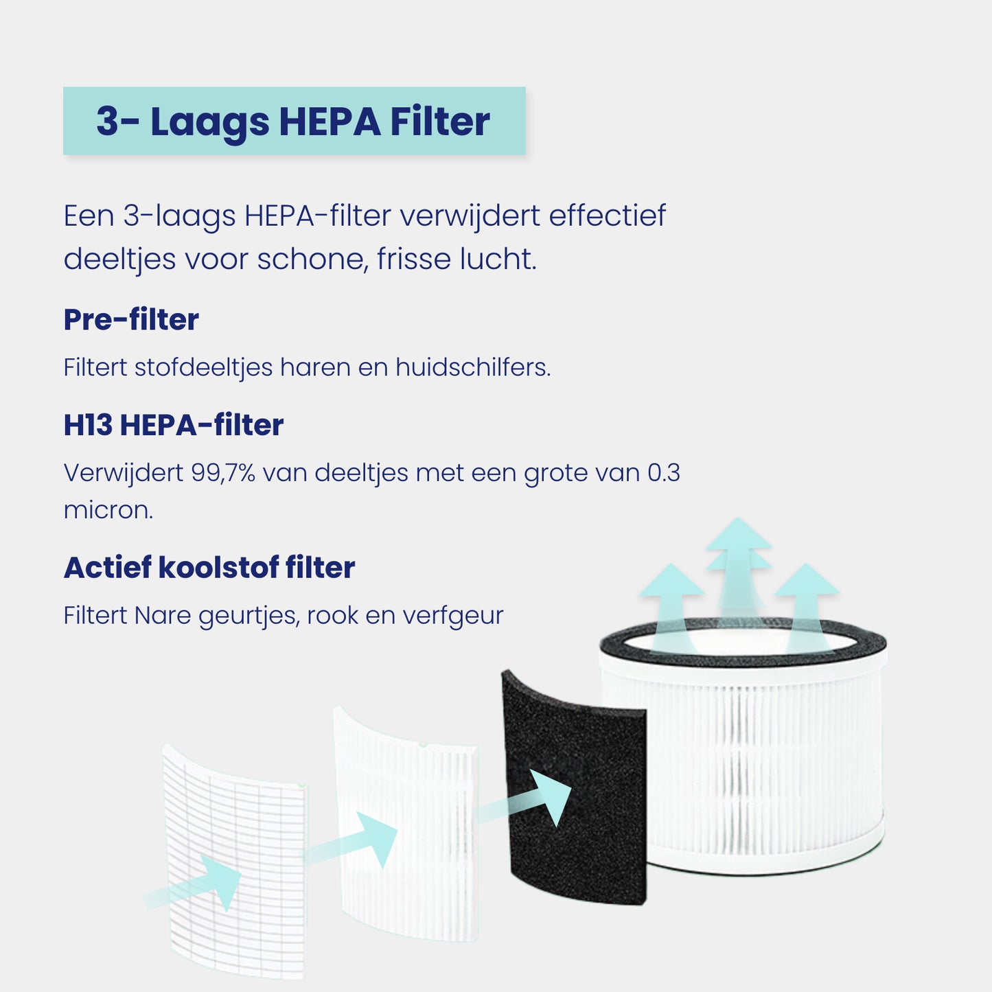 AirFlow XL HEPA Filter