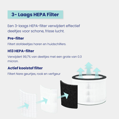 AirFlow XL HEPA Filter