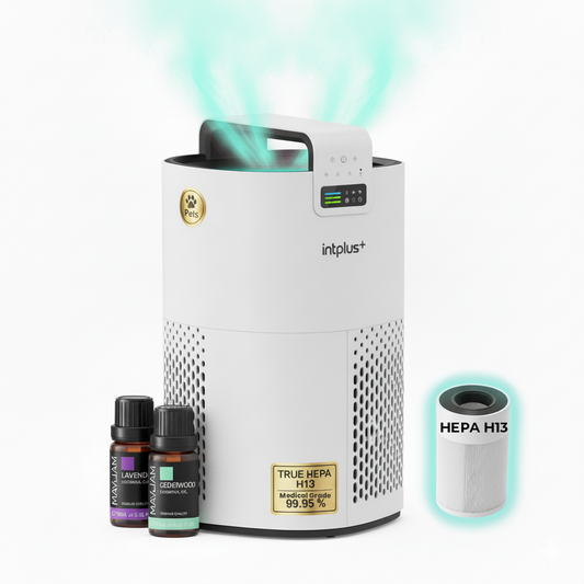 AirFlow XL Luchtreiniger